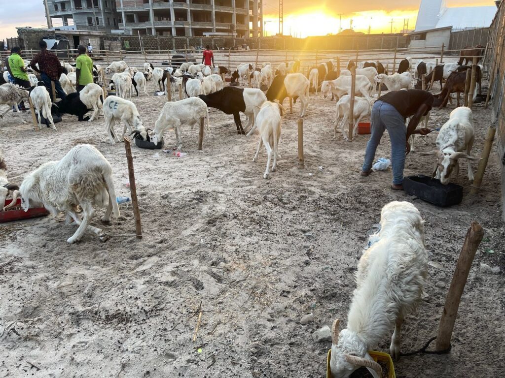 Farm Zone