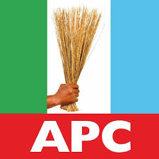 APC Official Logo
