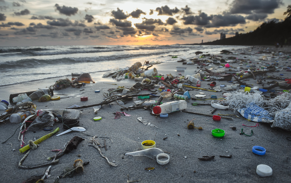 Unity Bank Webinar Sparks Call to End Plastic Pollution
