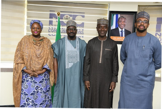 Renewable Energy: NCC, REA Launch Joint Committee